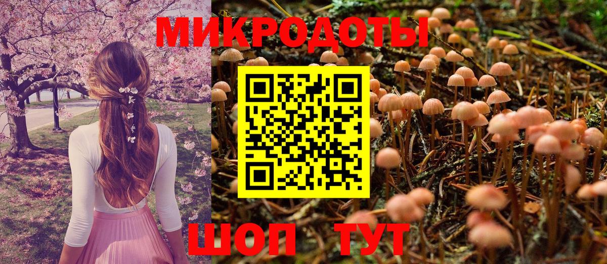 как найти   Псилоцибиновые грибы Psilocybine cubensis  Вход с VPN  Нижний Новгород 